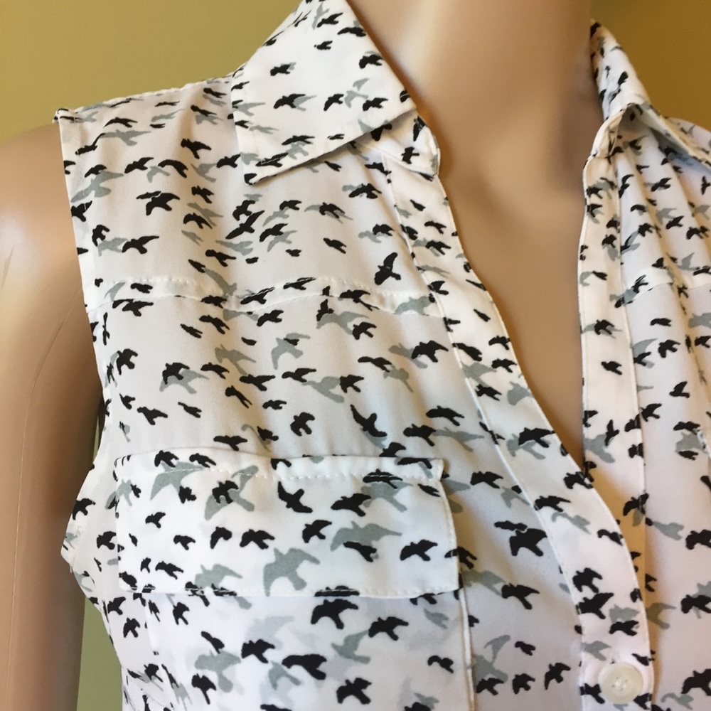 Button Front Sleeveless Blouse - Picture 4 of 4